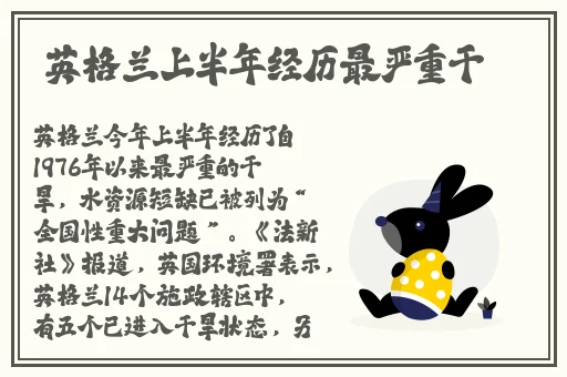 最新在线伦费观看中文